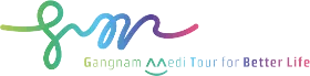 Gangnam Medical Tour
