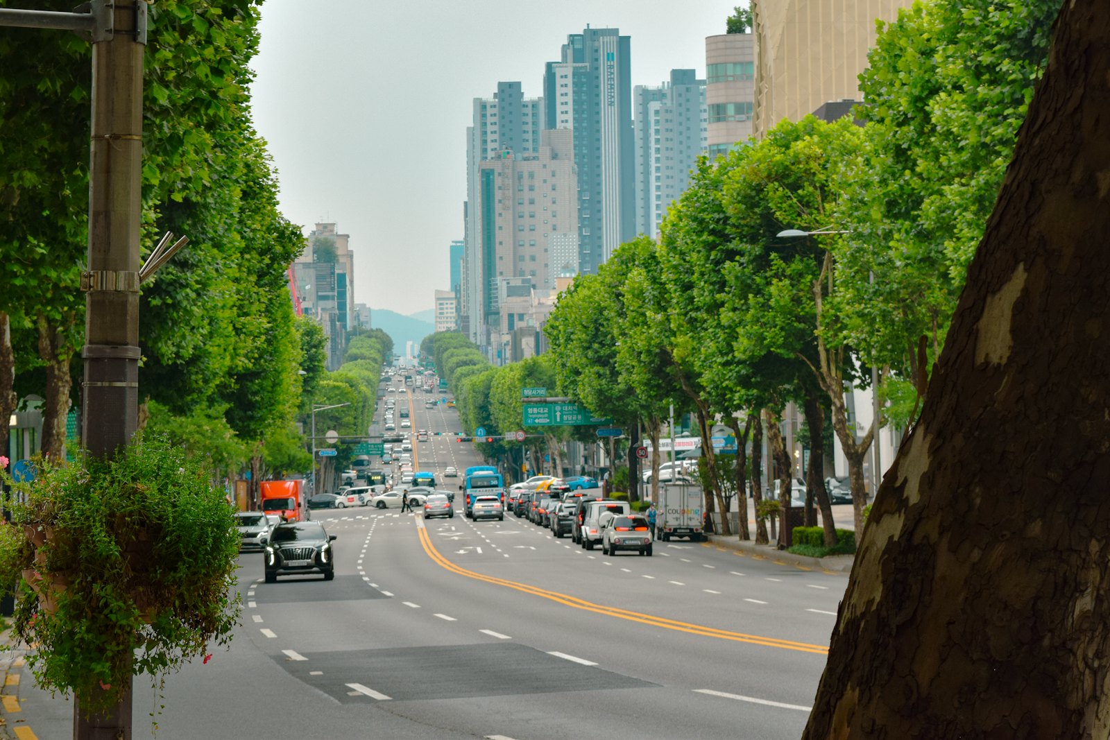Gangnam district, Seoul